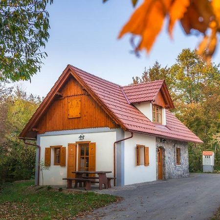 Vineyard Cottage Vina In Medu Trebelno Extérieur photo